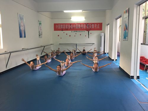 足尖上的成长 2018年中国舞蹈协会中国舞考级在足尖舞舞蹈培训中心的实践与启示